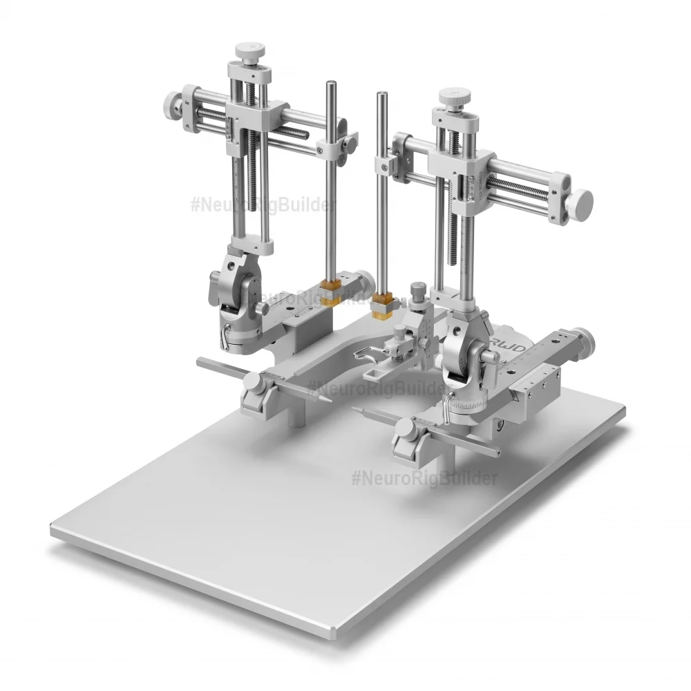 Dual Model